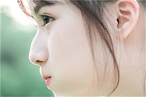 上海的登革热疫情对旅游业的影响